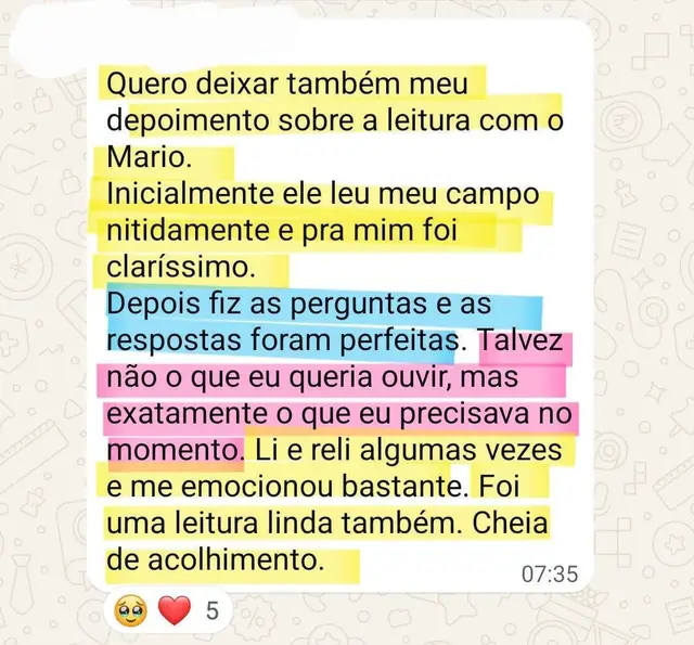 Depoimento sobre uma leitura intuitiva com o gêmeo da Débora, enviado pelo WhatsApp