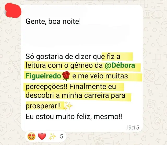 Depoimento sobre uma leitura intuitiva com o gêmeo da Débora, enviado pelo WhatsApp