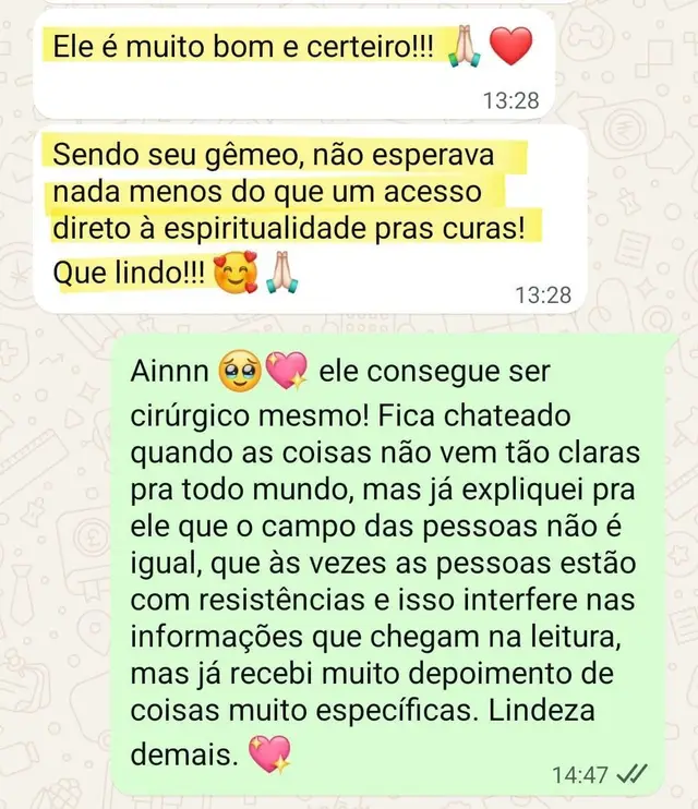 Depoimento sobre uma leitura intuitiva com o gêmeo da Débora, enviado pelo WhatsApp