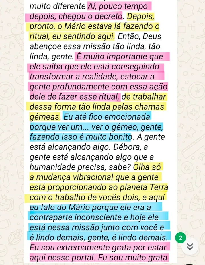 Depoimento sobre o ritual de limpeza, proteção e manifestação conduzido pelo Mário, enviado pelo WhatsApp