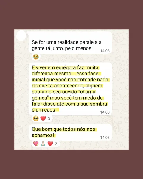 Depoimento 01 sobre todo mundo se entende — Portal Chamas Gêmeas